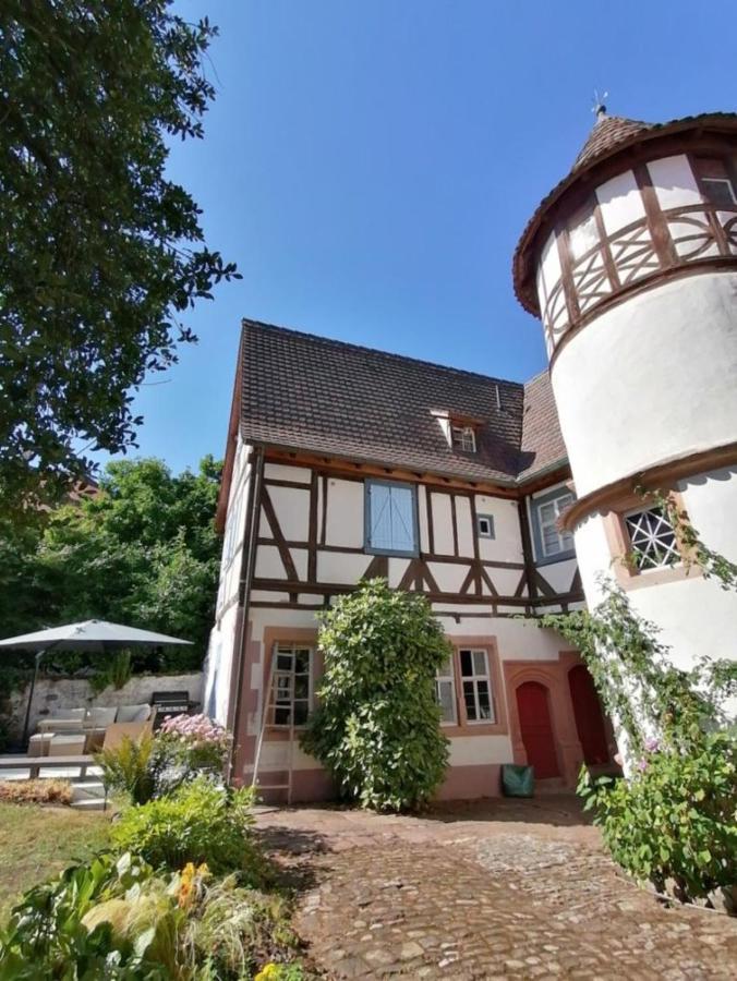 Maison Kobold Xvie Siecle Wissembourg Εξωτερικό φωτογραφία