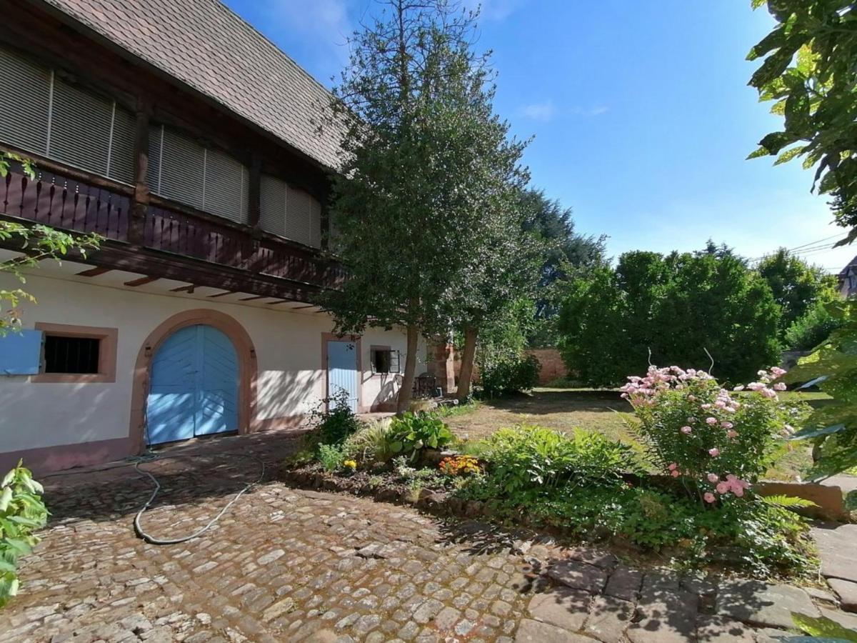 Maison Kobold Xvie Siecle Wissembourg Εξωτερικό φωτογραφία