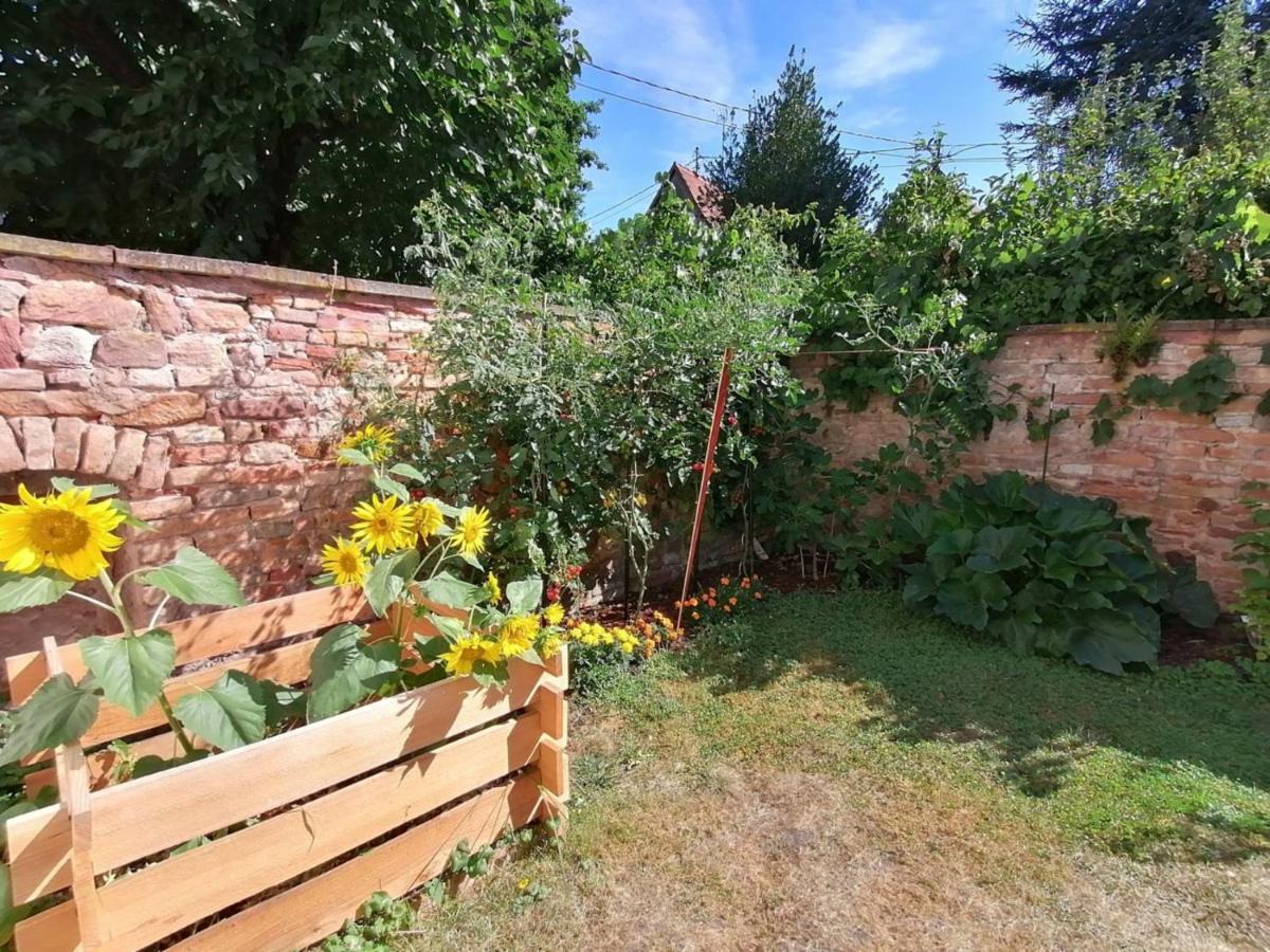 Maison Kobold Xvie Siecle Wissembourg Εξωτερικό φωτογραφία