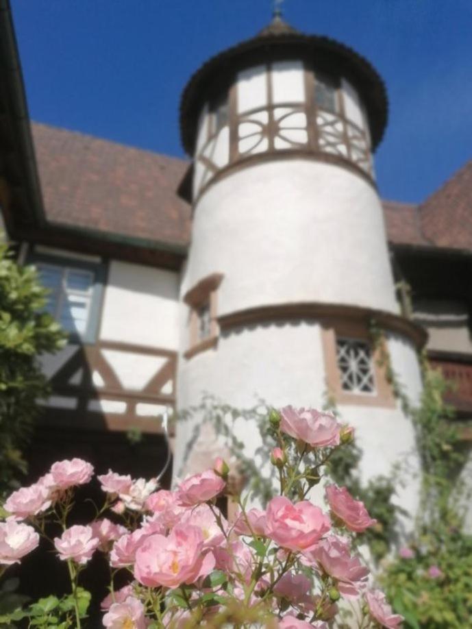 Maison Kobold Xvie Siecle Wissembourg Εξωτερικό φωτογραφία